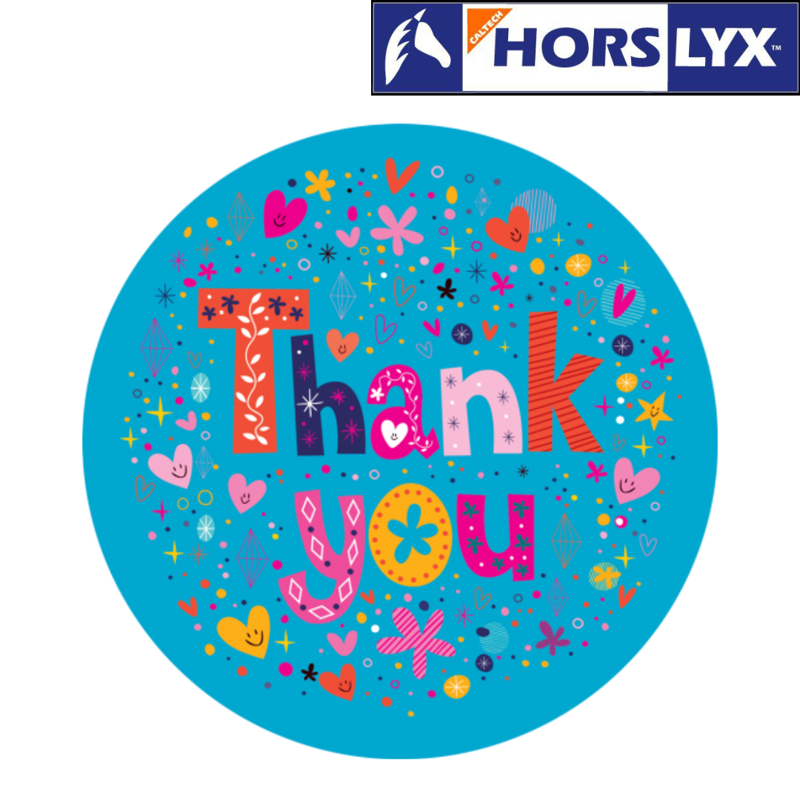Horslyx Mini Gift Sleeve Thank You